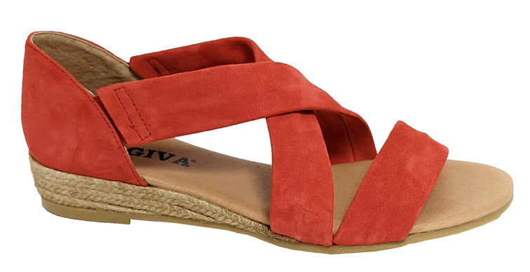 317 Ante Coquelicot