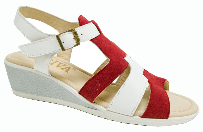 TL-9613 - White/Red